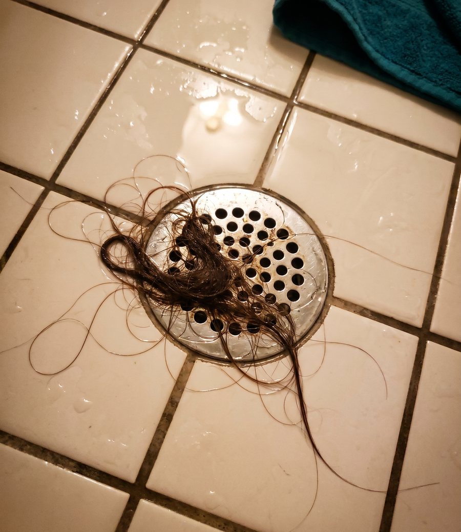 A clump of wet shed hair caught in the shower drain