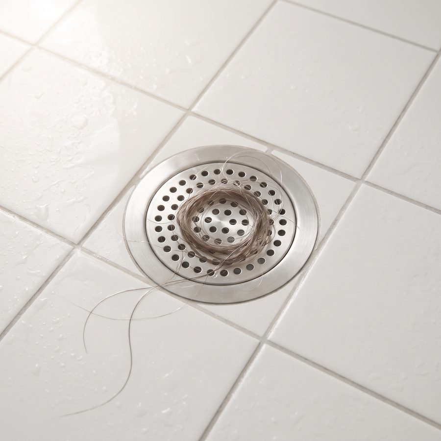Shed hair caught on a shower drain