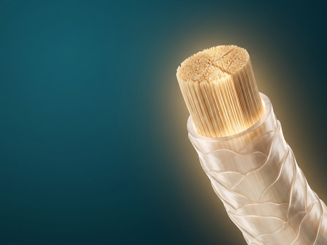 Illustration of a hair strand with a glowing keratin core